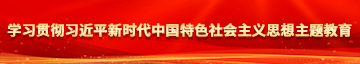 操死我视频学习贯彻习近平新时代中国特色社会主义思想主题教育