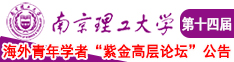 骚bi草南京理工大学第十四届海外青年学者紫金论坛诚邀海内外英才！